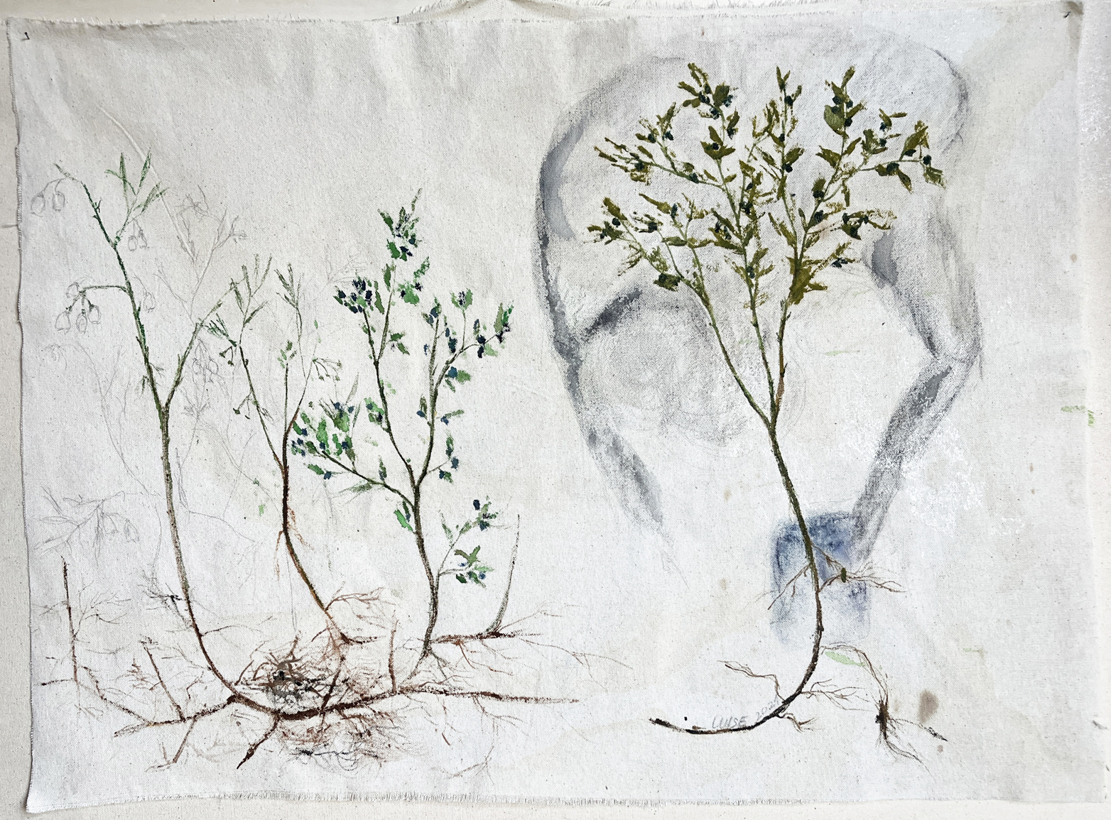 Heidelbeerernte 1,7MB