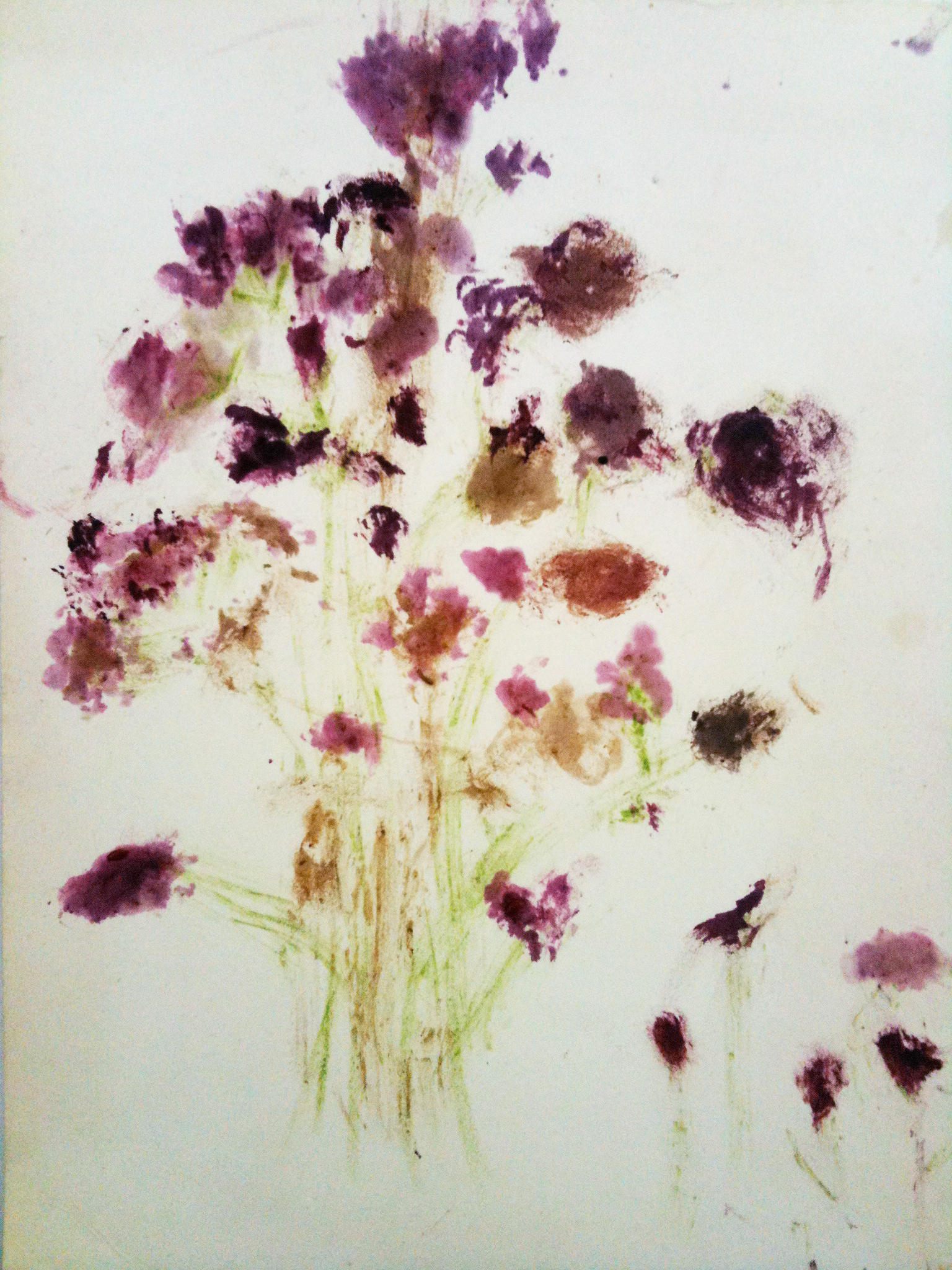 Hollerfrüchte als Blumen Planzefarbe aus ihr selbst