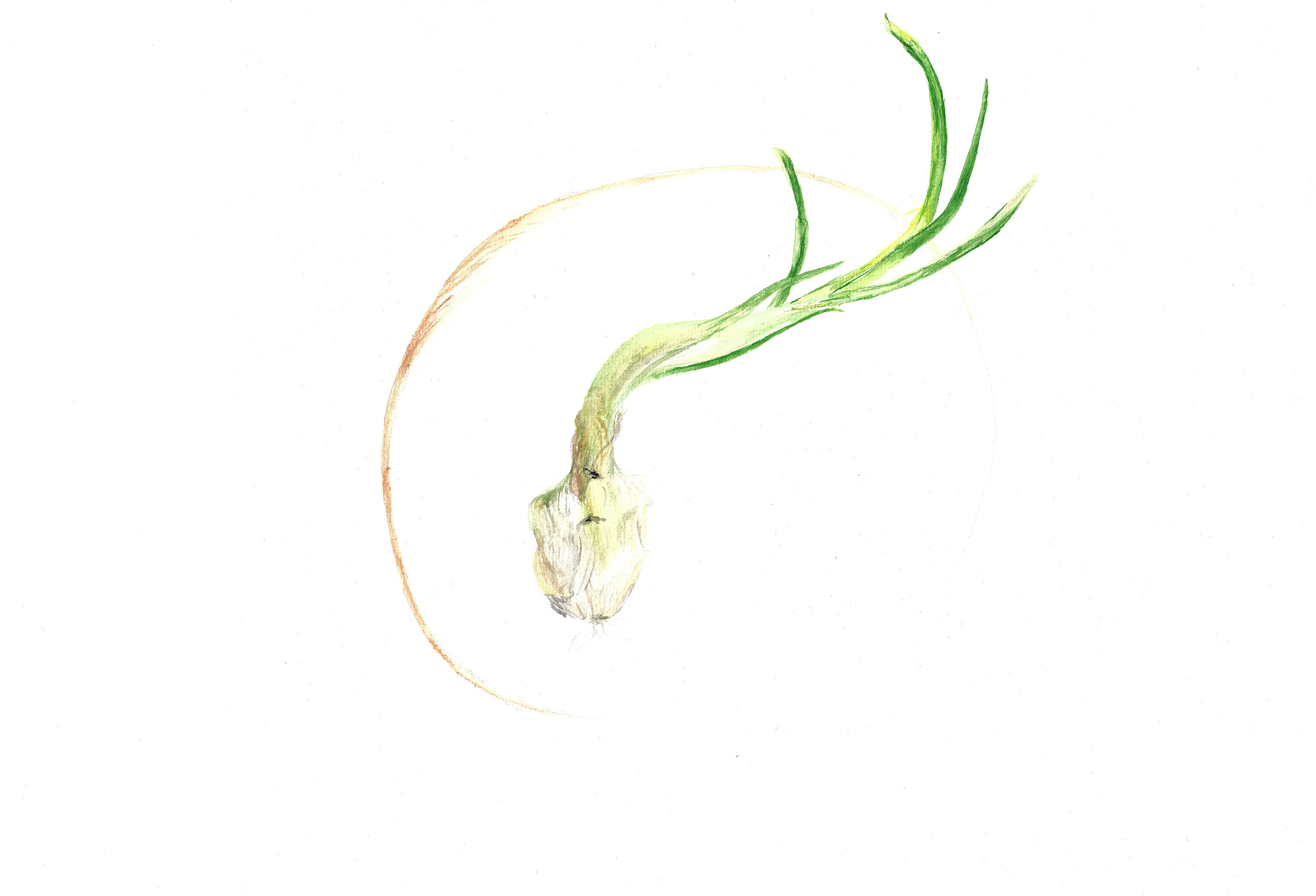 Knofl imKreisNamendefinition plakat